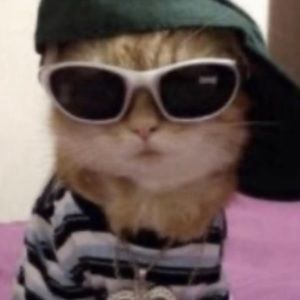 Meet your Posher, Willow